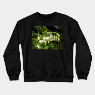 white bleeding hearts #3 Crewneck Sweatshirt